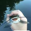 fishing_with_ismer_109