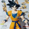 goku_8799
