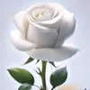 samm.sammm64