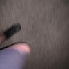 thomas_raynor13