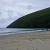 patrickwg28