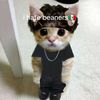 lilhomie___