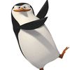 skipper_penguin_movie