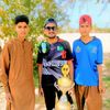 lefti.awan205