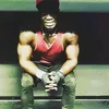 bayo.1.lamin