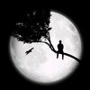 ans.alshami