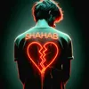 shahab.khan3437