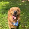 Zeus Alejandro Mure Palacios