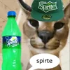 katkiddo1
