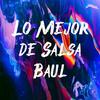 baul -salsa1030