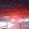 ennilk_01