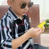 diu.lan66