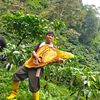 pak.ulfa.petualan