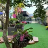 phuan323