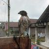 ini.siapa1029