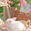 nhpuydkeyamy