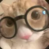 nonthapatpoomchan.somji4