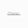 giangora.stock