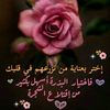 user4545542399442