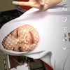 ana_lqlq12