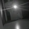 xenia_6_2