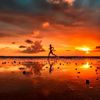 willsrunclub