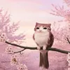 sheis_star3