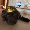 hegyi_maux