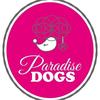 paradisedogs0