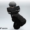 aaron.disini