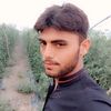 .m.shahid71