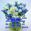 bendjijean59