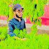 muhammad.mustansa09