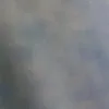 dana.xaelany