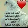 user9982097337705