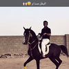صدام🐎.