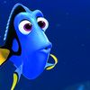 findingdoryy.fp.gr