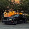 mustangrodney