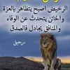 user81133225718816
