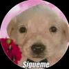 erick.gomezbarret