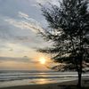 giena_a1