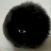 kevin_6925