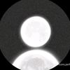 white_12376