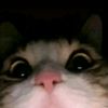ren.rendi2