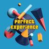 perfect_experience