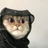 uputtt_imutt