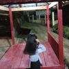 willy_tz15