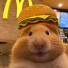 cheesehamster3