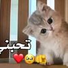 user5083116342435
