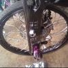 damen.motorparts